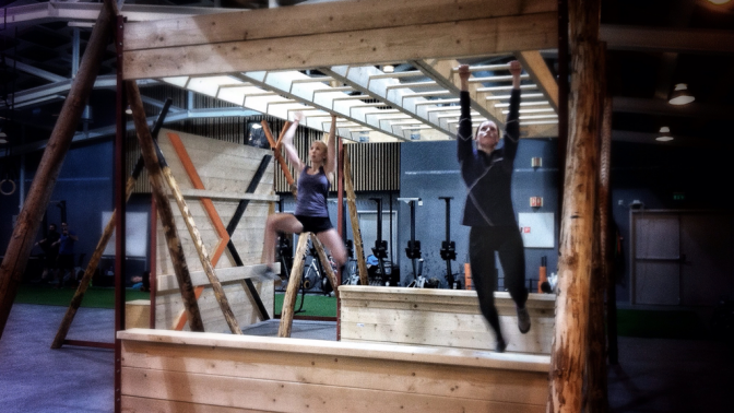 Monkey bars