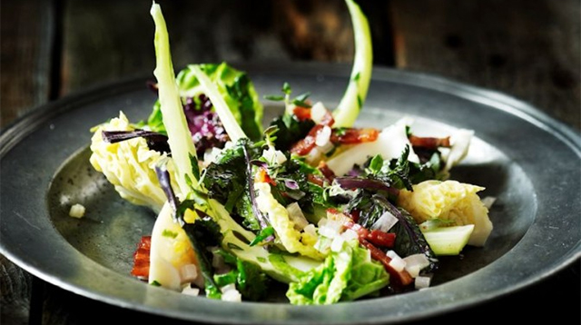 paleosalat