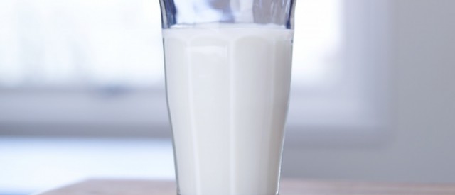 Er melk kun for kalver?
