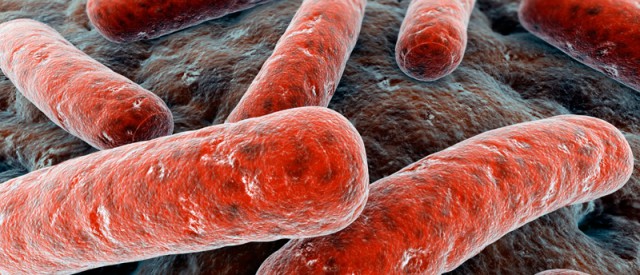 Slank med… eeh.. bæsj!?